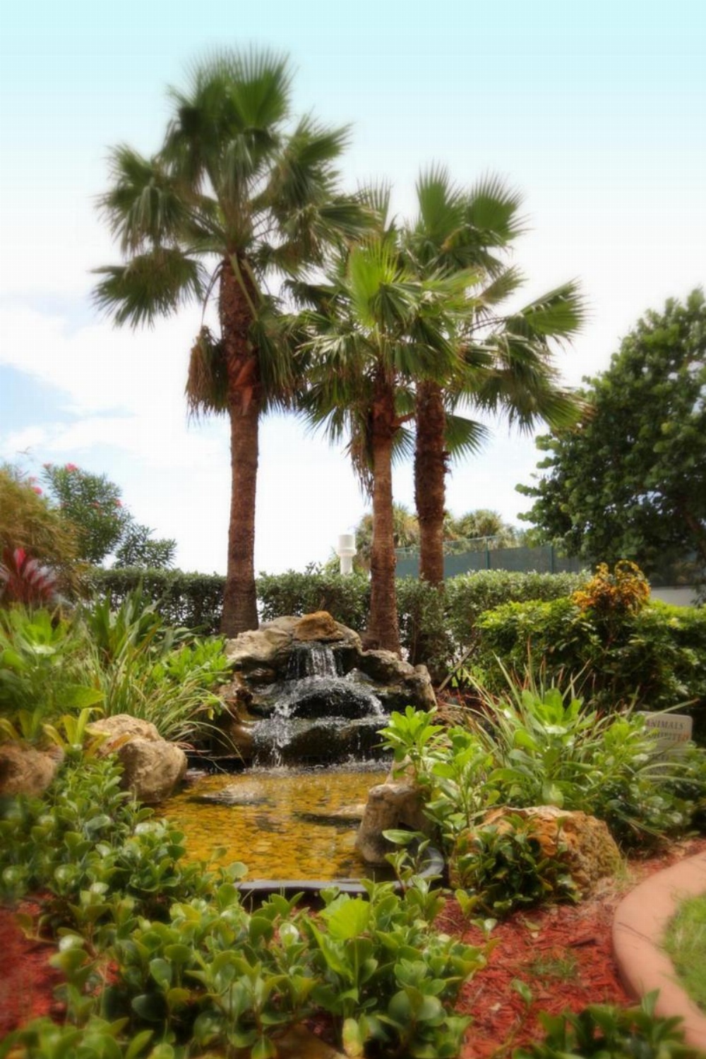 Ocean Manor Beach Resort